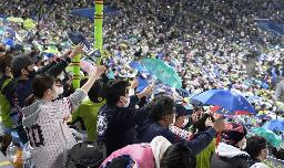 <p>　プロ野球今季最終戦のヤクルト―広島戦で盛り上がるファン＝１日夜、神宮球場</p>