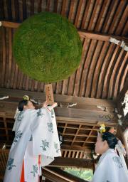 <p>　奈良県桜井市の大神神社で、掛け替えられた大杉玉に木札を結び付けるみこ＝１３日</p>