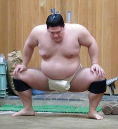 　稽古で四股を踏む宇良＝東京都墨田区の木瀬部屋（代表撮影）