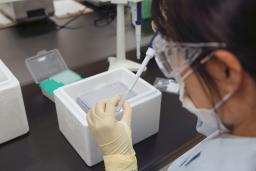 　遺伝子を調べるパネル検査の作業のイメージ（シスメックス提供）