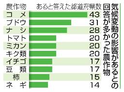 　気候変動の影響があるとの回答が多かった農作物