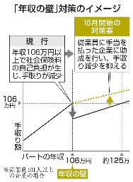 　「年収の壁」対策のイメージ