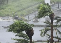 　台風６号の影響で、強風にあおられる街路樹＝５日、那覇市