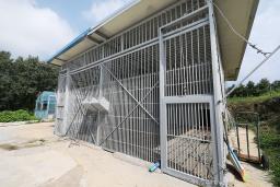 　雌ライオンが逃げた韓国・高霊の農場のおり＝１４日（聯合＝共同）