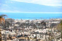 　山火事で壊滅的な被害を受けた米ハワイ・マウイ島西部ラハイナ＝１６日（共同）