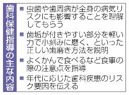 　歯科保健指導の主な内容