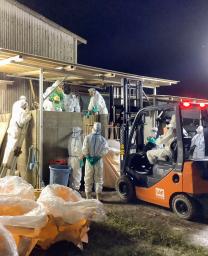 　豚熱の発生を受け、殺処分作業を進める関係者＝３０日、佐賀県唐津市（県提供）