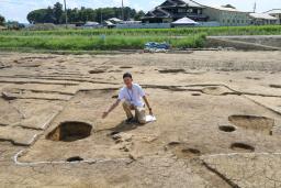　１２棟分の竪穴建物跡が見つかった御館前遺跡＝８月２８日、滋賀県近江八幡市