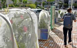 　台風１１号の接近に備え、ネットが取り付けられた花壇＝３１日午後、那覇市