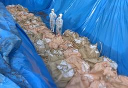 　豚熱の発生を受け、殺処分作業を進める関係者＝３１日、佐賀県唐津市（県提供）