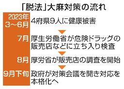　「脱法」大麻対策の流れ