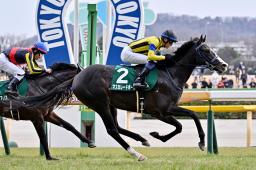 　第５９回共同通信杯を制したマスカレードボール＝東京競馬場