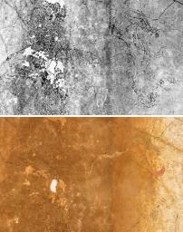 　最新の赤外線カメラで撮影したキトラ古墳壁画の青竜（上）。下は肉眼で見える青竜（文化庁提供）
