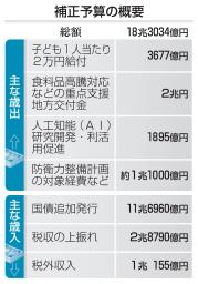 　補正予算の概要