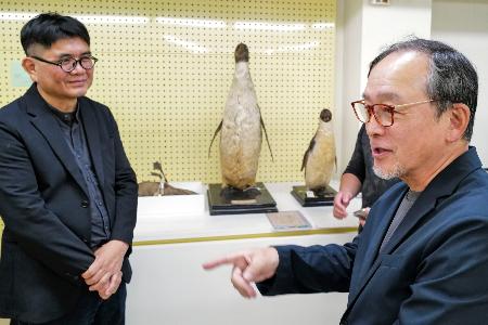 　剥製と対面し意見交換する佐藤豊弘さん（右）と国立台湾博物館の陳登欽館長＝２９日、台北市（共同）