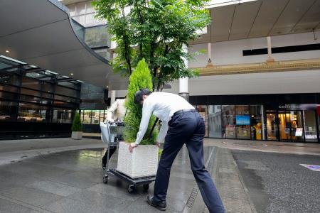 台風６号接近に備え、植木を移動させるホテルの従業員＝２日午前、鹿児島市