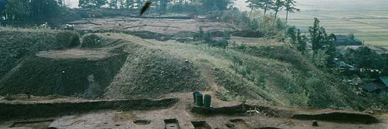 小金城