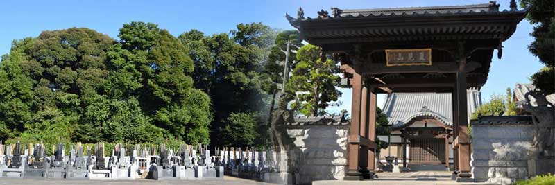 夏見城