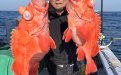 サムネイル画像