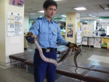 マンション敷地にヘビ　浦安市内、警察官急行し捕獲