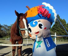旧３町の産品盛り込む　いすみん（いすみ市）　【ちば　ゆるキャラコレクション】
