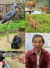 【刷新！千葉市動物公園】　目次