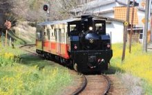 鉄道ファン景色満喫　菜の花揺らし里山旅　トロッコ再出発