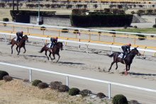 中央競馬担う人材育成　騎手目指し厳しく自己管理　白井の競馬学校　【ふさの国探宝】