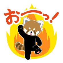 風太ＬＩＮＥスタンプ登場　レッサーパンダ、立ち姿で「おーっ！」　千葉市動物公園、２８日から