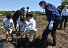 栗の木育てて里おこし　小湊鉄道沿線に１５０本　新たな観光資源創出へ　市原