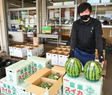 秋作スイカ出荷始まる　富里　「しゃりっと柔らかい」