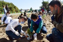 景観美化へクロマツ植栽　匝瑳　７０人、ＳＤＧｓ学び活動
