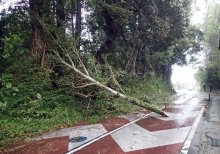＜台風１６号＞千葉県内１万５千軒停電、交通網に乱れ　銚子で最大瞬間風速４１・８メートル