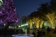 千葉ニュータウン彩る光の祭典　ＬＥＤ倍増演出刷新　イルミライ★ＩＮＺＡＩ（印西）　【ふさの国探宝】　