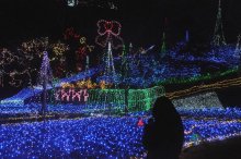 里山で見つけた宝石箱　３０万個、豪華イルミ　市原・クオードの森　【師走スケッチ２０２１】