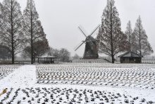 【速報】千葉県内に雪、本降りに　全域に大雪警報も