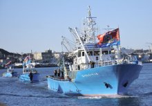 大漁旗なびかせ新春の海へ　豊漁と安全願い漕出式　銚子漁港