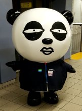 「千葉ドゥンドゥン」と話題の京成パンダ　意外にスポーツマン？　その正体に迫る【急上昇ニュースのウラ】