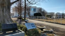 ３万余騎、勢い増す　源頼朝の房総行（下）　【千葉地理学会連載おもしろ半島ちばの地理再発見】