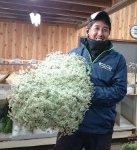 必要とされる花き企業に　折原園芸（南房総市） 【輝く！千葉の企業　日本政策金融公庫レポート】（８５）