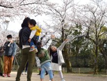 桜満開、マスク姿で満喫　花冷えの週末　千葉・亥鼻公園