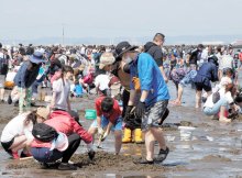 ＜ＧＷ後半スタート＞３年ぶり制限なしでにぎわう千葉県内　潮干狩り・フリーマーケット