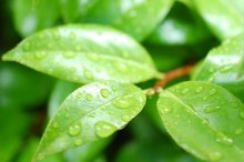 「雨」から学ぶ　～コトバの使い方を深めるために～【合格への助走　市進受験ナビ】