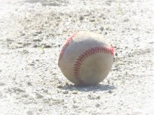 夏の高校野球、組み合わせ表　第１０４回全国高校野球千葉大会