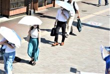 熱島房総やまぬ猛暑　千葉県、アラート事業開始　船橋３７．８度　 熱中症６０人
