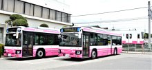 【動画あり】新京成バスも電車色　１８年ぶり塗装変更　ジェントルピンク　順次統一、７月中に４台