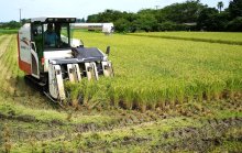 超早場米の収穫本格化　大暑を前に、早くも新米の時期　いすみ
