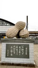 ちば名産「落花生」の歴史　九十九里から印旛郡へ　【千葉地理学会連載　おもしろ半島ちばの地理再発見】