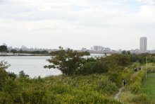 【速報】女の子とみられる遺体見つかる　はだしで不明の松戸女児と似た服着用　関連を捜査　靴発見場所から１４キロ南の江戸川　市川