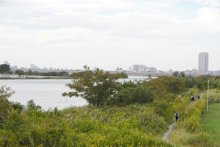 ＜松戸女児不明＞住民ら「言葉にならない」　江戸川で子どもとみられる遺体　無事の発見願う声